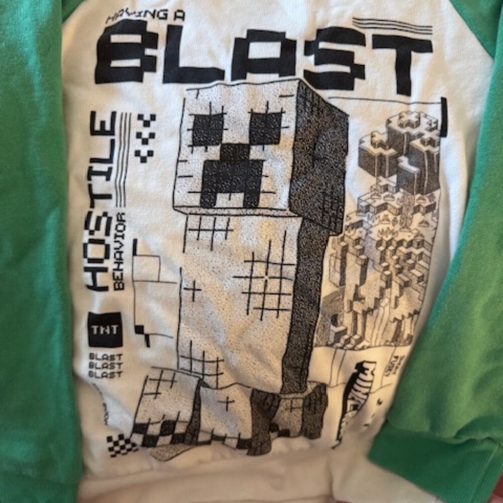 Minecraft Crewneck Sweatshirt